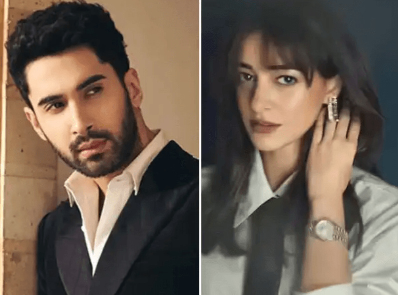 Chand Mera Dil Raih 2,9 Crore di Hari Pertama, Chemistry Ananya Panday & Lakshya Dipuji